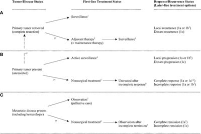 Exercise as cancer treatment: A clinical oncology framework for exercise oncology research